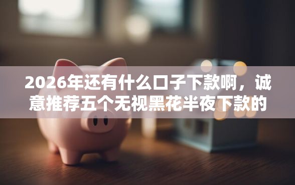 2026年还有什么口子下款啊，诚意推荐五个无视黑花半夜下款的网贷口子