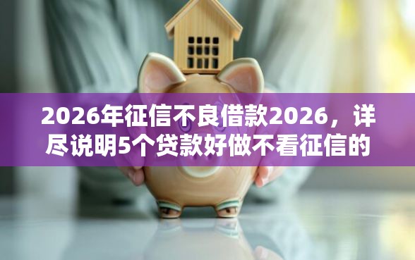 2026年征信不良借款2026，详尽说明5个贷款好做不看征信的软件