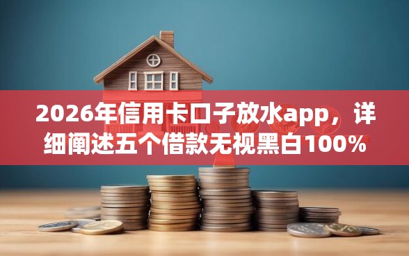 2026年信用卡口子放水app，详细阐述五个借款无视黑白100%秒过