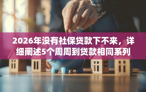2026年没有社保贷款下不来，详细阐述5个周周到贷款相同系列的app