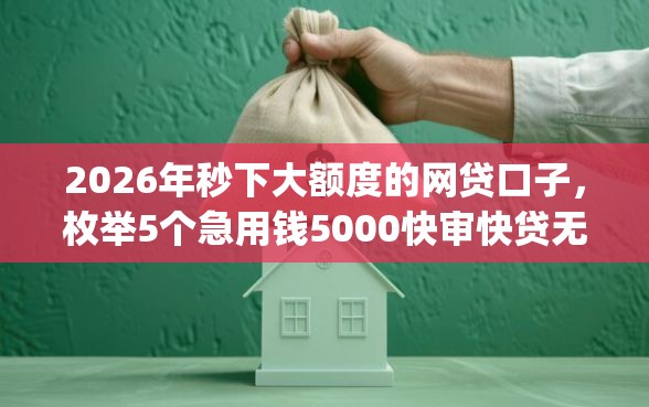 2026年秒下大额度的网贷口子，枚举5个急用钱5000快审快贷无需征信app