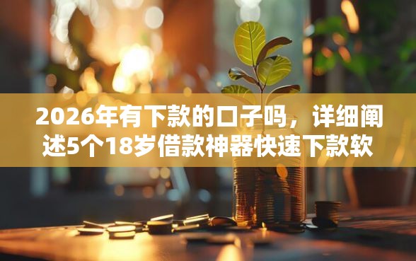 2026年有下款的口子吗，详细阐述5个18岁借款神器快速下款软件