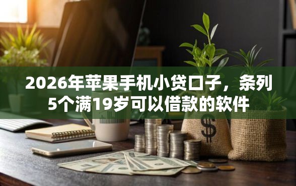 2026年苹果手机小贷口子，条列5个满19岁可以借款的软件
