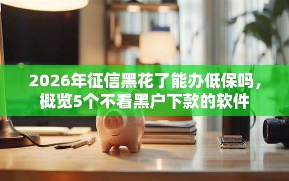 2026年征信黑花了能办低保吗，概览5个不看黑户下款的软件