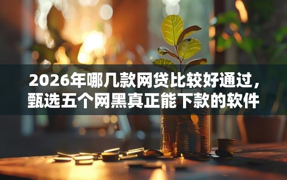 2026年哪几款网贷比较好通过，甄选五个网黑真正能下款的软件