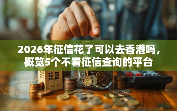2026年征信花了可以去香港吗，概览5个不看征信查询的平台