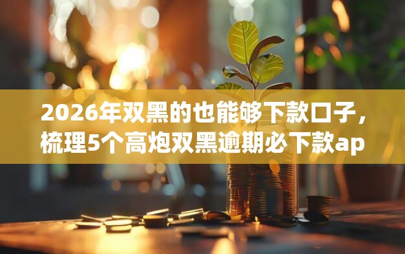 2026年双黑的也能够下款口子，梳理5个高炮双黑逾期必下款app