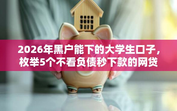 2026年黑户能下的大学生口子，枚举5个不看负债秒下款的网贷平台