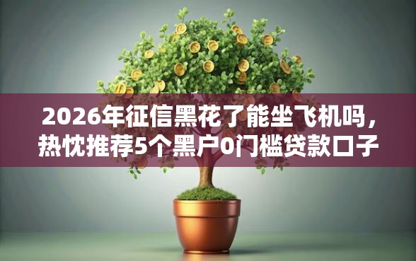 2026年征信黑花了能坐飞机吗，热忱推荐5个黑户0门槛贷款口子