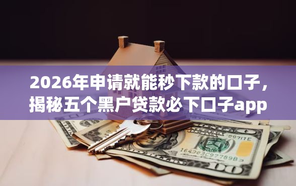 2026年申请就能秒下款的口子，揭秘五个黑户贷款必下口子app