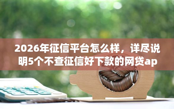 2026年征信平台怎么样，详尽说明5个不查征信好下款的网贷app