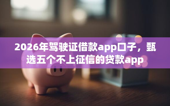 2026年驾驶证借款app口子，甄选五个不上征信的贷款app