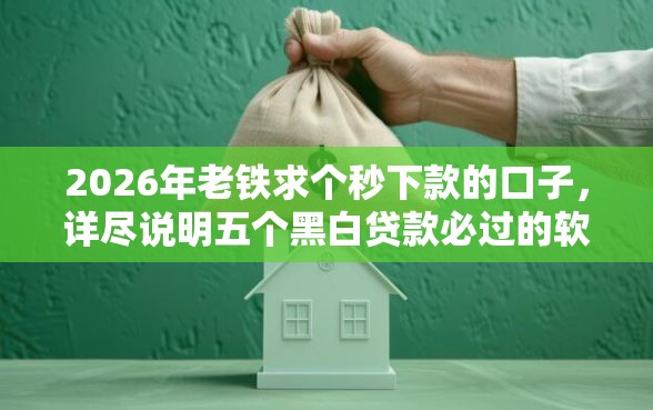 2026年老铁求个秒下款的口子，详尽说明五个黑白贷款必过的软件