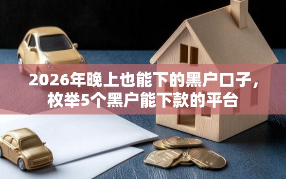 2026年晚上也能下的黑户口子,枚举5个黑户能下款的平台 2026年晚上也能下的黑户口子,枚举5个黑户能下款的平台