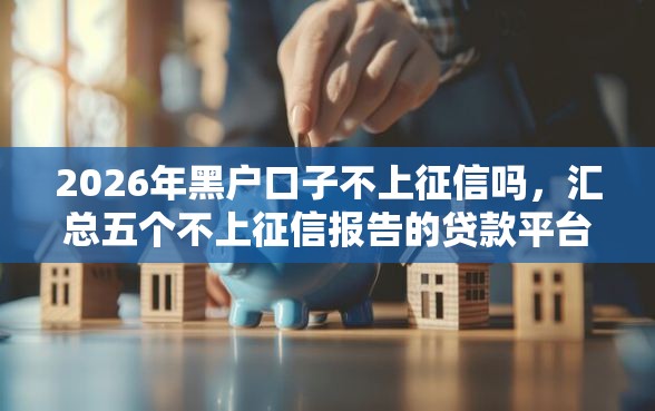 2026年黑户口子不上征信吗，汇总五个不上征信报告的贷款平台