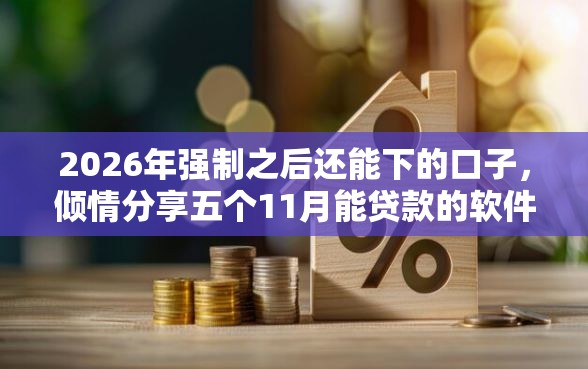 2026年强制之后还能下的口子，倾情分享五个11月能贷款的软件