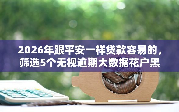 2026年跟平安一样贷款容易的，筛选5个无视逾期大数据花户黑户口子