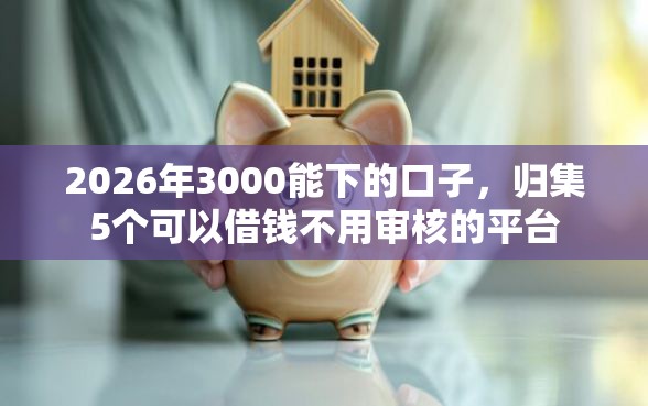 2026年3000能下的口子，归集5个可以借钱不用审核的平台