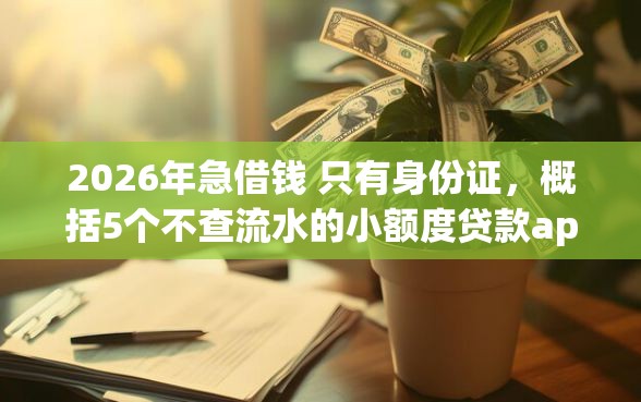 2026年急借钱 只有身份证，概括5个不查流水的小额度贷款app