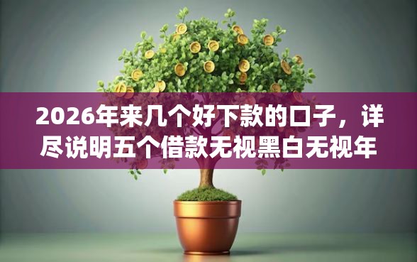 2026年来几个好下款的口子，详尽说明五个借款无视黑白无视年龄100%秒过app