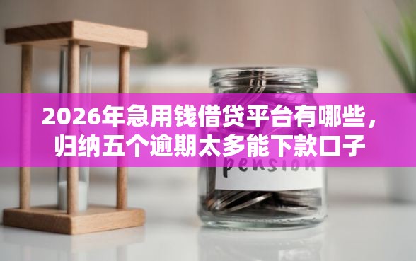 2026年急用钱借贷平台有哪些，归纳五个逾期太多能下款口子