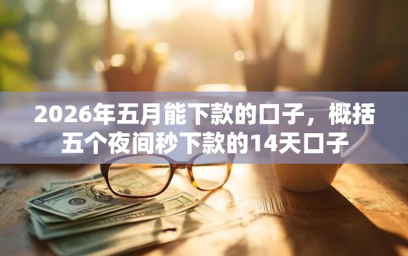 2026年五月能下款的口子，概括五个夜间秒下款的14天口子