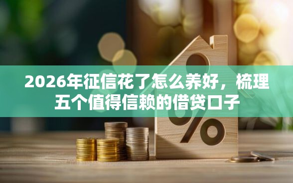 2026年征信花了怎么养好，梳理五个值得信赖的借贷口子