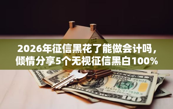2026年征信黑花了能做会计吗，倾情分享5个无视征信黑白100%秒下软件