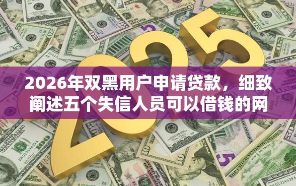 2026年双黑用户申请贷款，细致阐述五个失信人员可以借钱的网贷口子