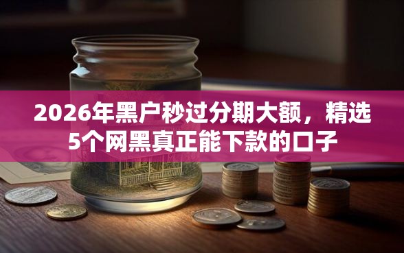2026年黑户秒过分期大额，精选5个网黑真正能下款的口子