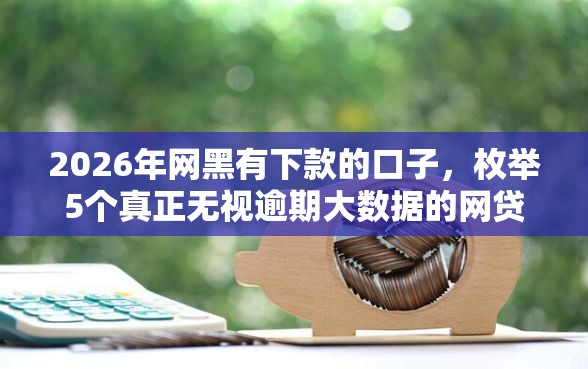 2026年网黑有下款的口子，枚举5个真正无视逾期大数据的网贷口子