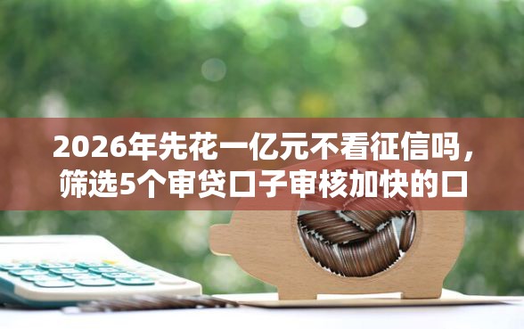 2026年先花一亿元不看征信吗，筛选5个审贷口子审核加快的口子