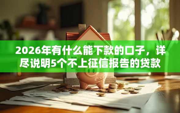 2026年有什么能下款的口子，详尽说明5个不上征信报告的贷款软件