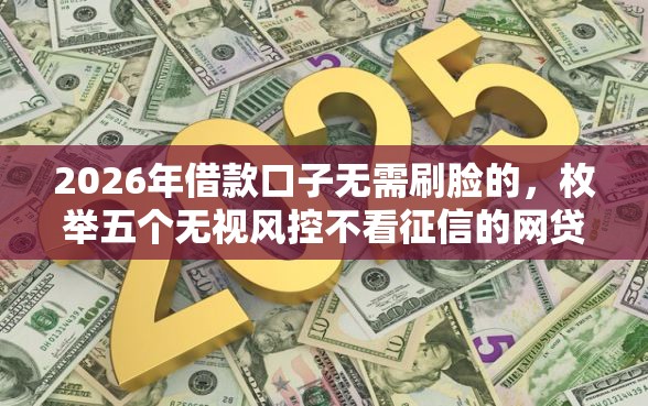 2026年借款口子无需刷脸的，枚举五个无视风控不看征信的网贷