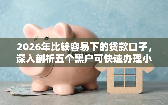 2026年比较容易下的贷款口子，深入剖析五个黑户可快速办理小额贷款业务的口子