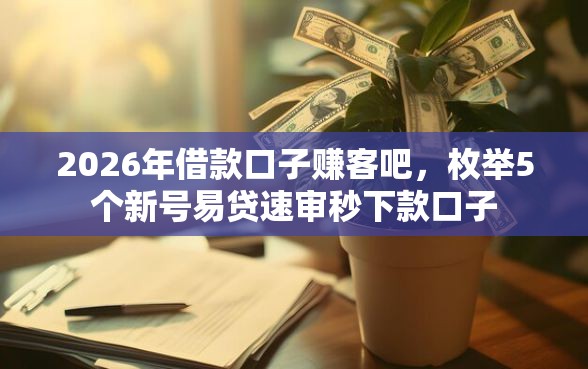 2026年借款口子赚客吧，枚举5个新号易贷速审秒下款口子