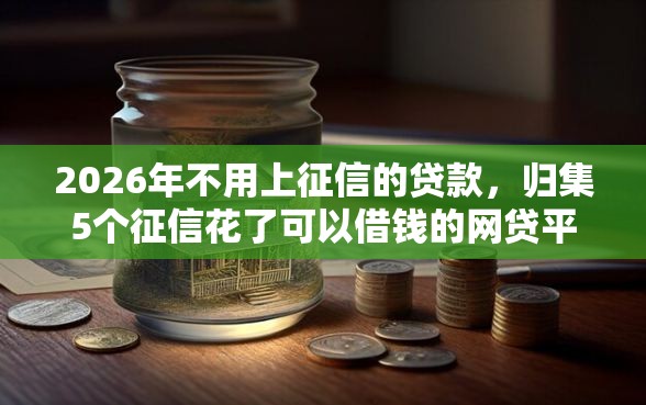 2026年不用上征信的贷款，归集5个征信花了可以借钱的网贷平台