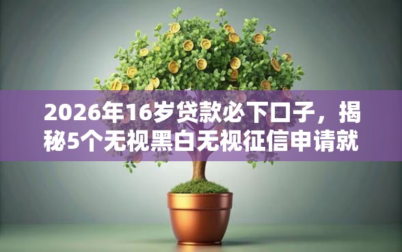 2026年16岁贷款必下口子，揭秘5个无视黑白无视征信申请就下款的软件