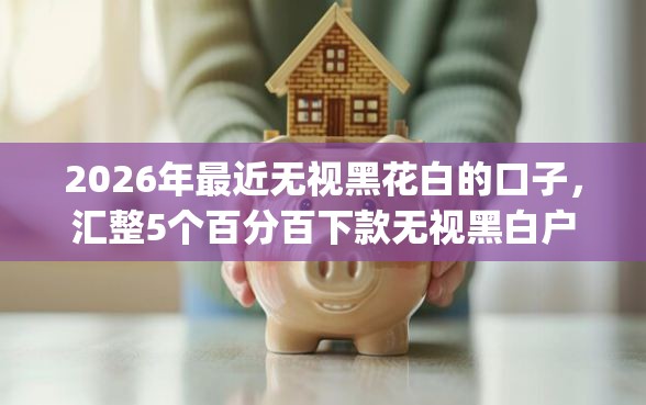 2026年最近无视黑花白的口子，汇整5个百分百下款无视黑白户网贷app