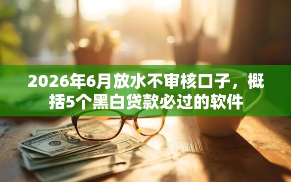2026年6月放水不审核口子，概括5个黑白贷款必过的软件