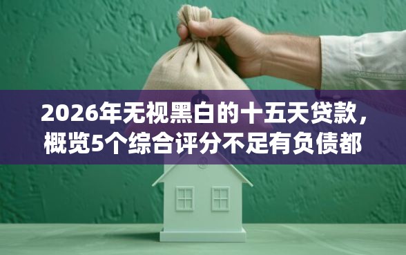 2026年无视黑白的十五天贷款，概览5个综合评分不足有负债都能下款app