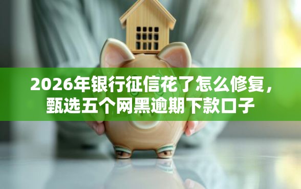 2026年银行征信花了怎么修复，甄选五个网黑逾期下款口子