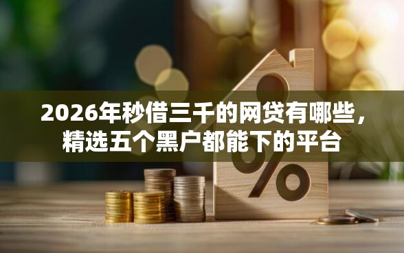 2026年秒借三千的网贷有哪些，精选五个黑户都能下的平台