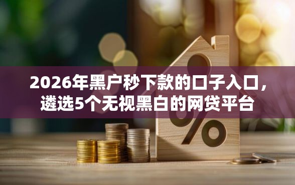 2026年黑户秒下款的口子入口，遴选5个无视黑白的网贷平台