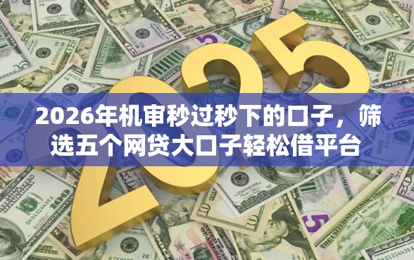 2026年机审秒过秒下的口子，筛选五个网贷大口子轻松借平台
