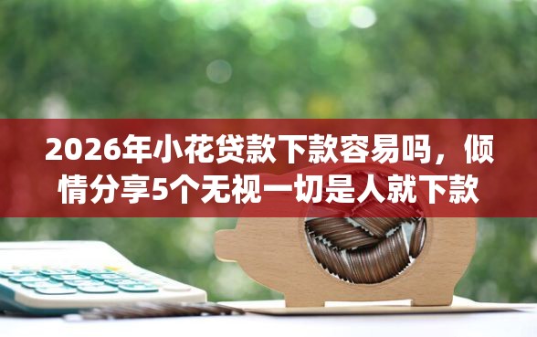 2026年小花贷款下款容易吗，倾情分享5个无视一切是人就下款app