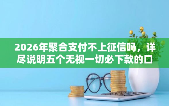 2026年聚合支付不上征信吗，详尽说明五个无视一切必下款的口子