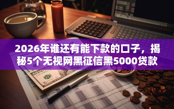 2026年谁还有能下款的口子，揭秘5个无视网黑征信黑5000贷款口子