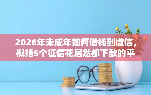 2026年未成年如何借钱到微信，概括5个征信花居然都下款的平台