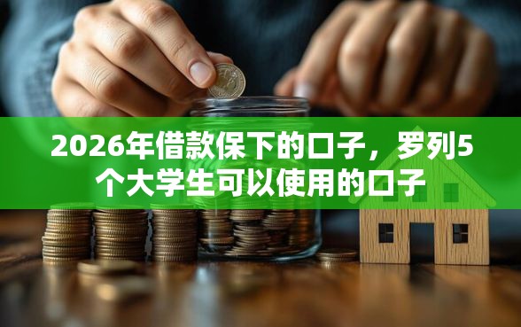 2026年借款保下的口子，罗列5个大学生可以使用的口子